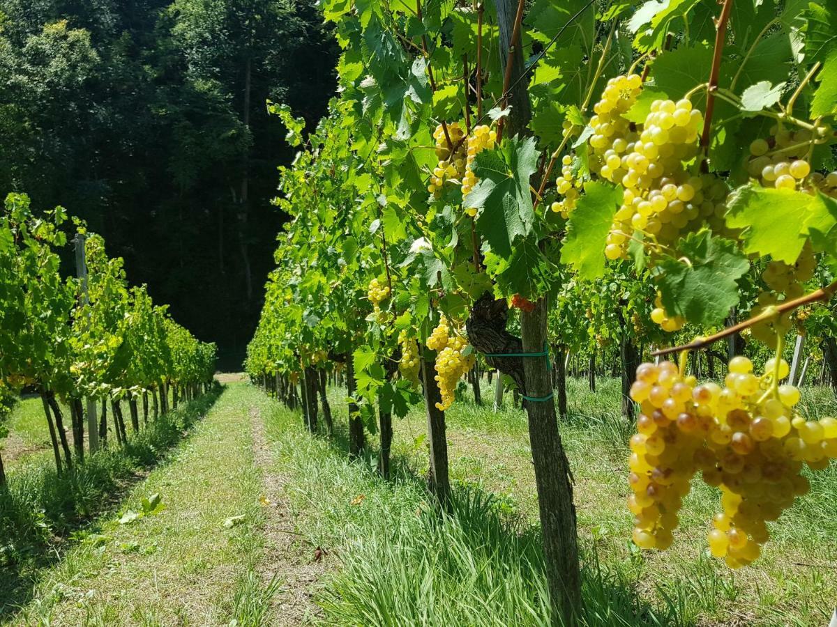 Wine House Kaloh Farma Maribor